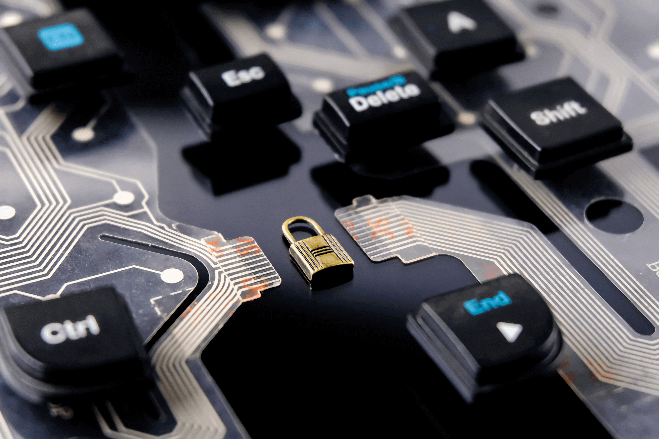 Upgrade to Wordfence Premium to increase cyber security